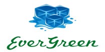 Evergreen Winter